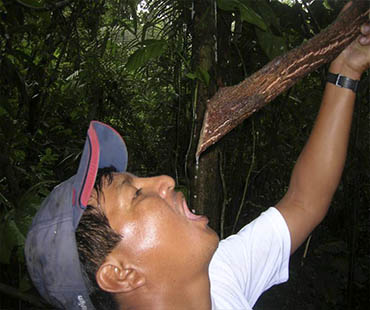 rainforest Ecuador